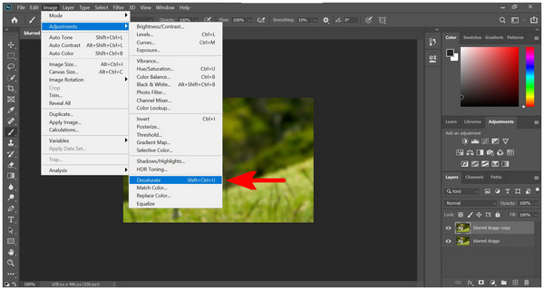 Photoshop Desaturate