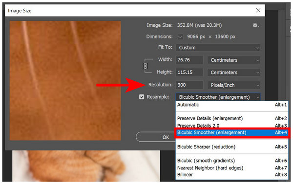 Photoshop Resolution Resample
