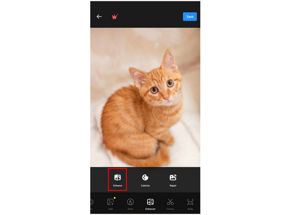 Polish Enhance Option