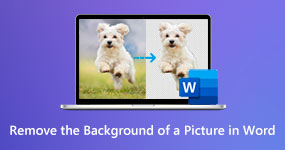 Remove Background from a Picture in Word