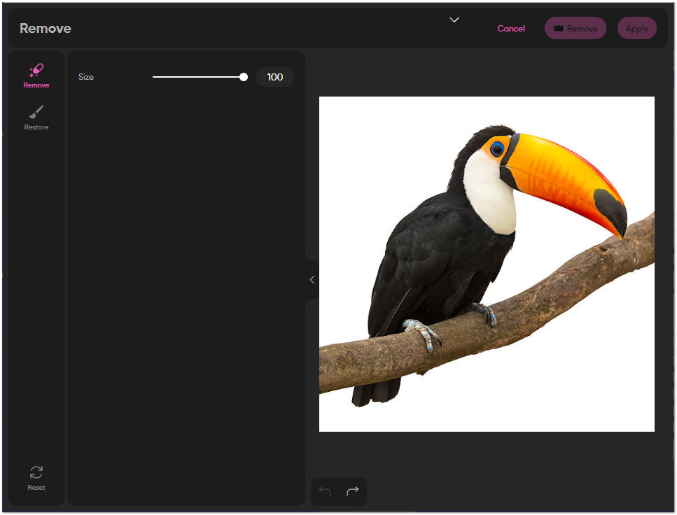 Remove BG Alternatives Picsart