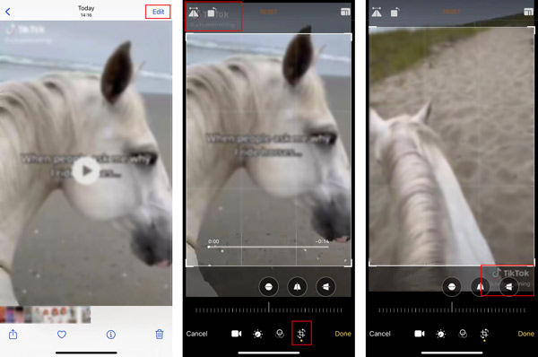 Remove TikTok Watermark On iPhone