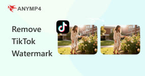 Remove TikTok Watermark