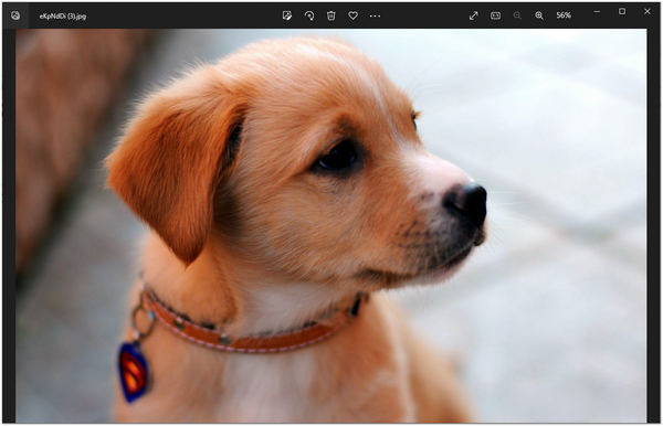 Remove Watermark Apowersoft Save