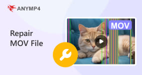 Repair MOV File