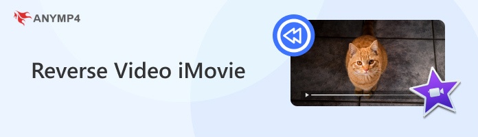 Reverse Video Imovie
