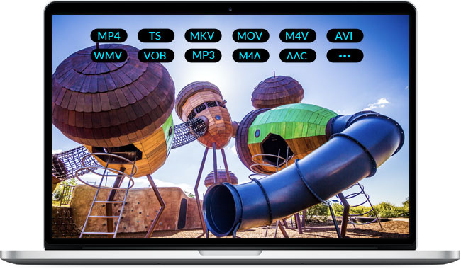 Rip Blu-ray to Video