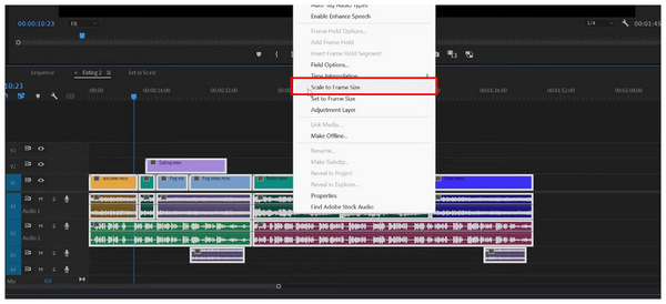Scale To Frame Choose Scale To Frame