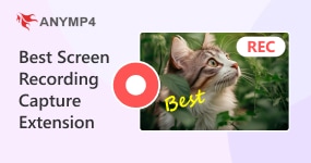 Screen Recording Capture Extension