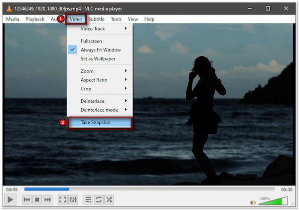 Select Take Snapshot