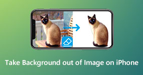 Take Background Out of Picture on iPhone