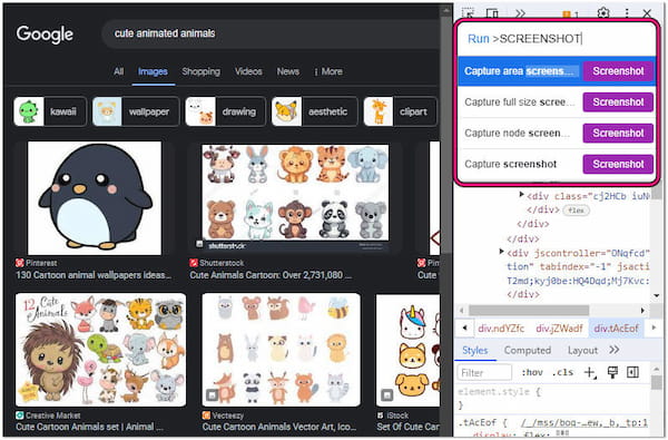 Type Screenshot in Command Prompt