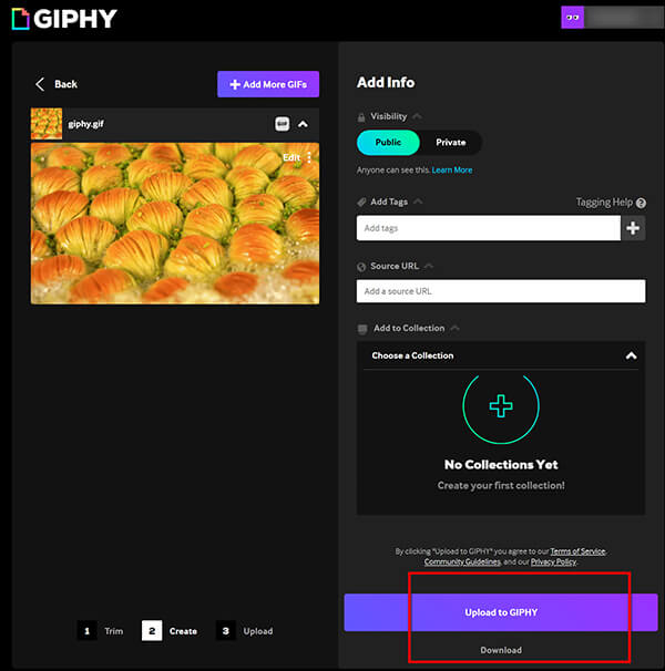 Upload GIF to Giphy
