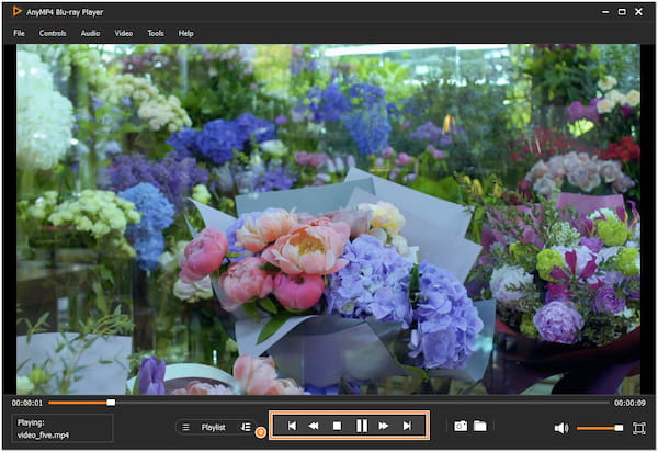 Utilize Playback Control