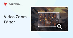 Video Zoom Editing Software