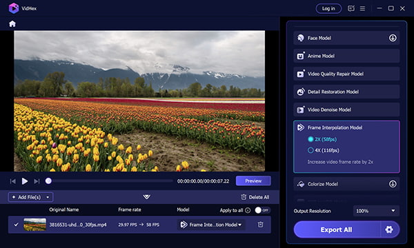 Vidhex Video FPS Converter