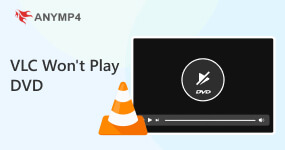 VLC Wont Play DVD