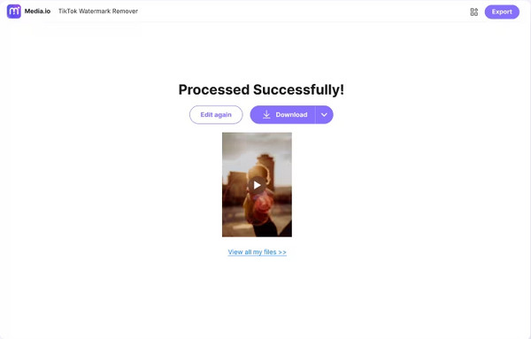 Watermark Remover Export Video