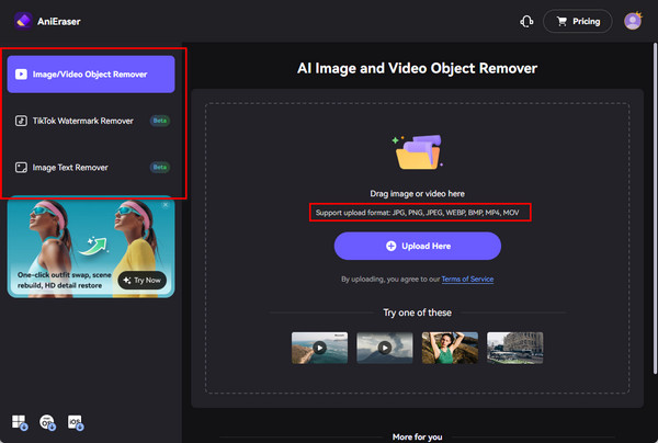 Watermark Remover Remove Interface