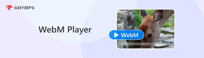 Webm Player