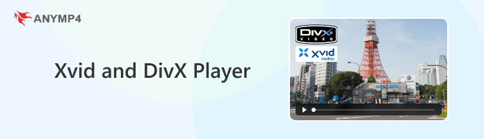 DivX and XviD Players