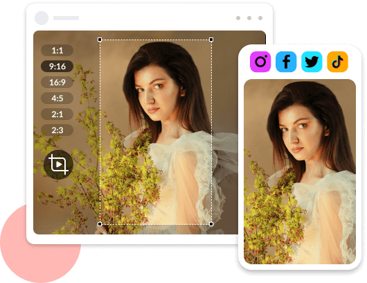 Crop Video Aspect Ratio